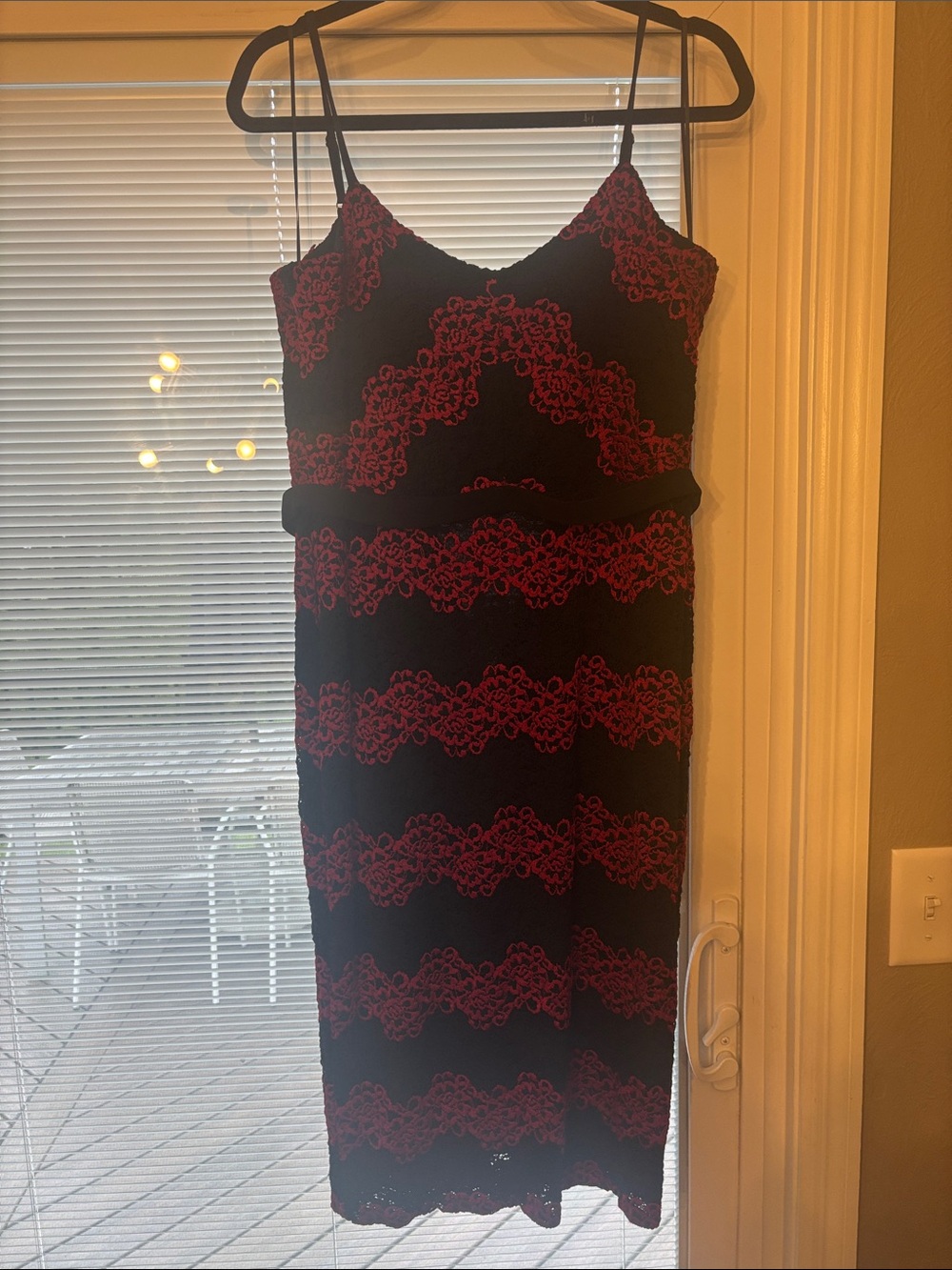 Dress the Population Black & Red Lace Sheath Dress